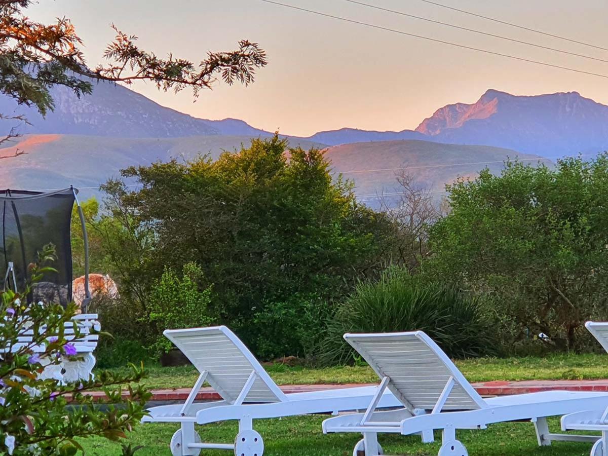 Outeniqua Moon Percheron Stud Farm Ruiterbos Luaran gambar