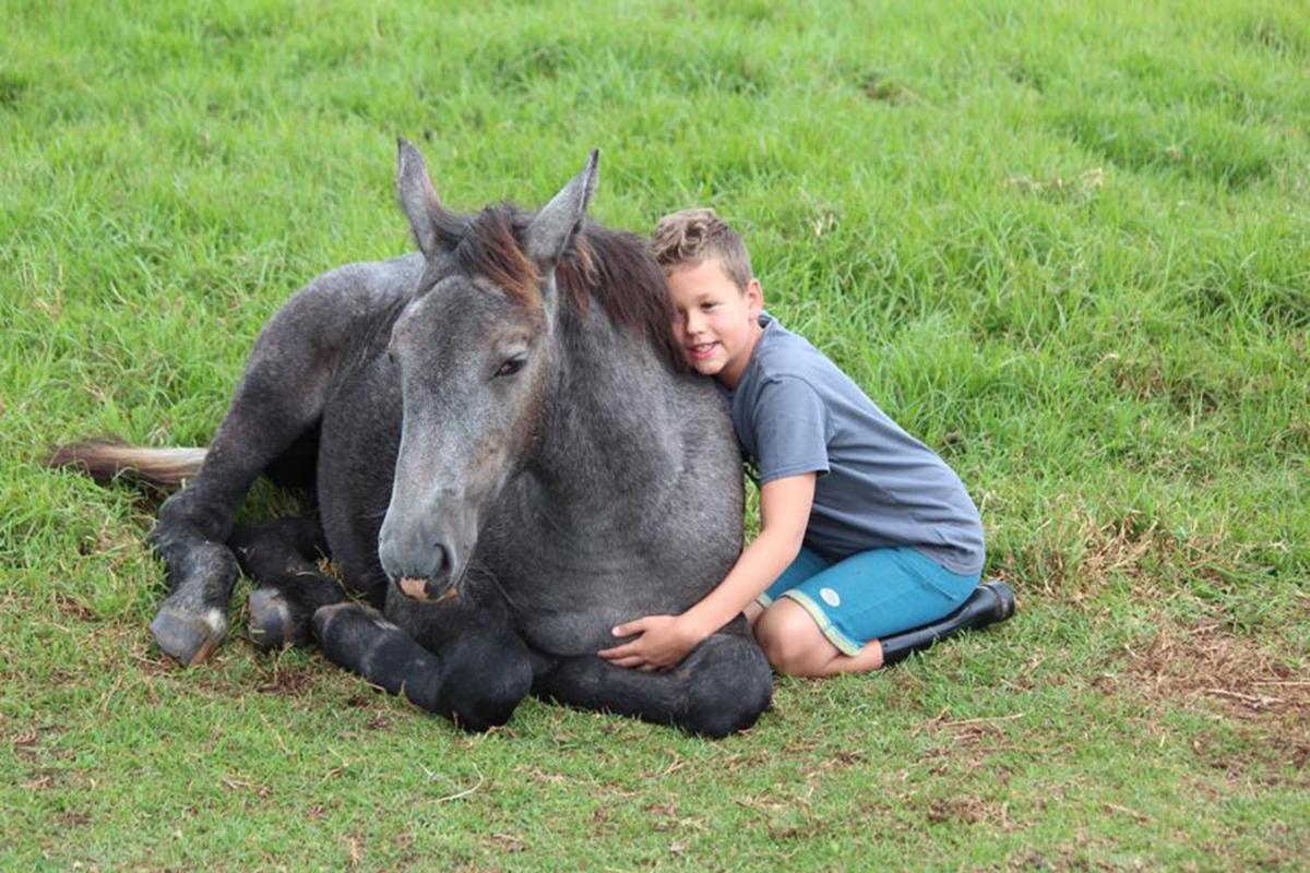 Outeniqua Moon Percheron Stud Farm Ruiterbos Luaran gambar