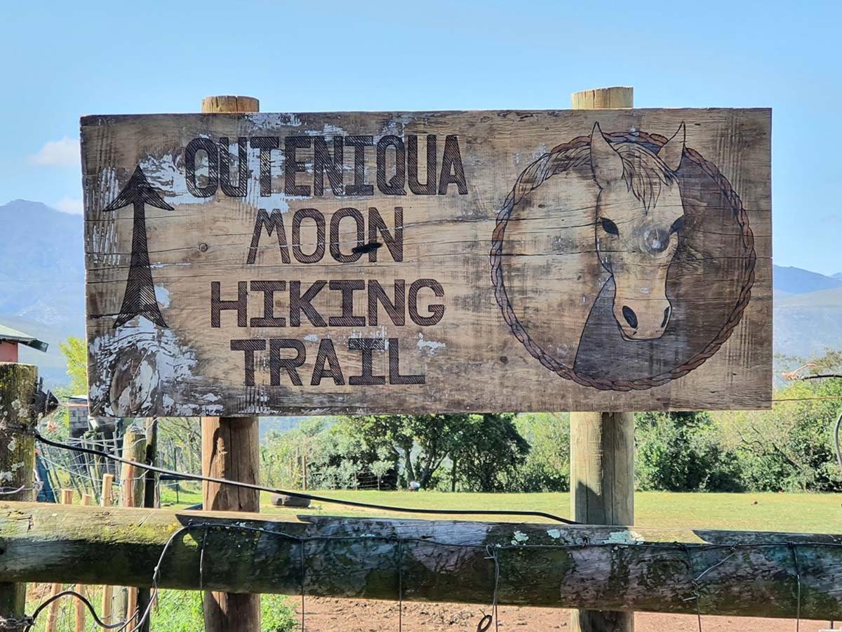 Outeniqua Moon Percheron Stud Farm Ruiterbos Luaran gambar