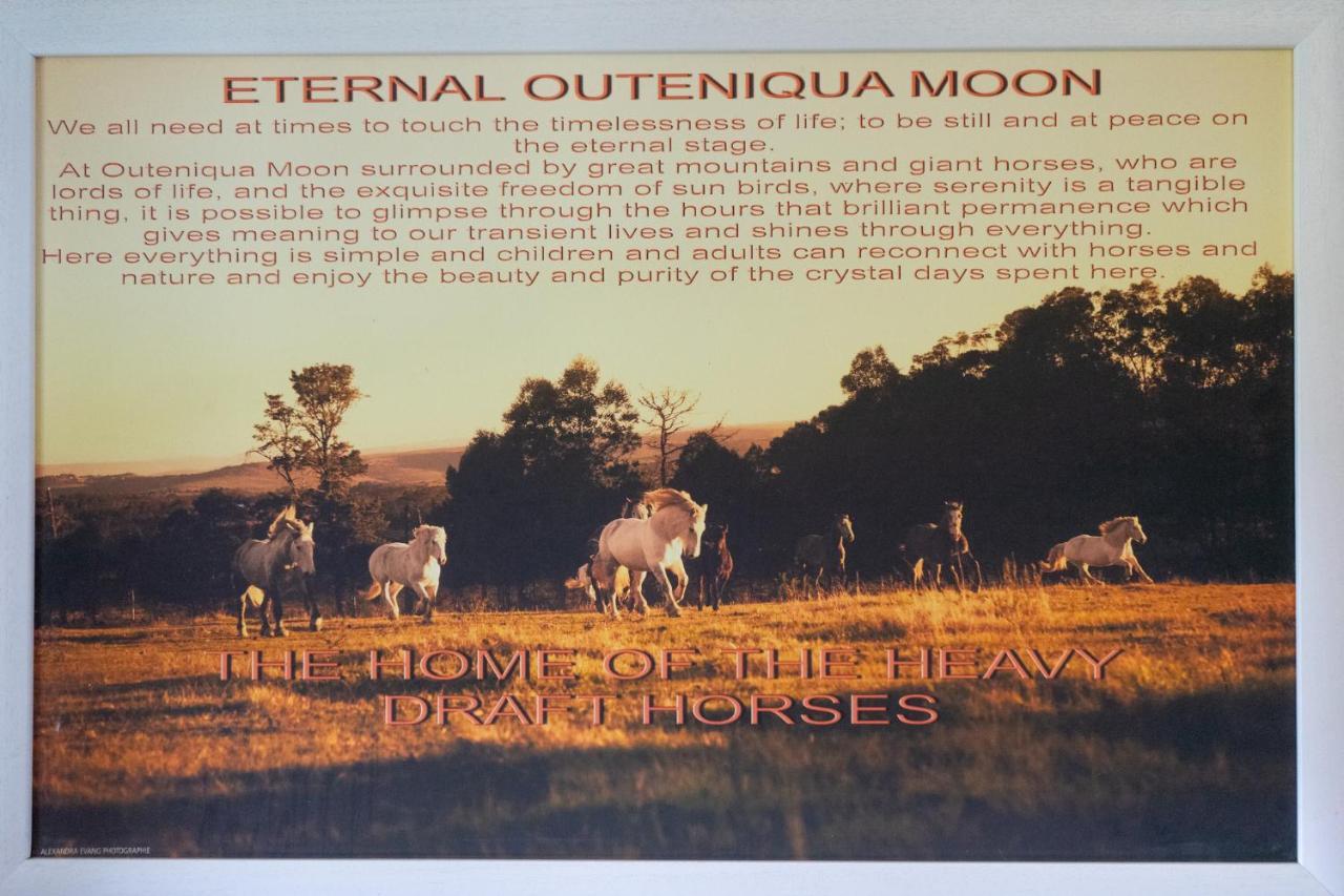 Outeniqua Moon Percheron Stud Farm Ruiterbos Luaran gambar