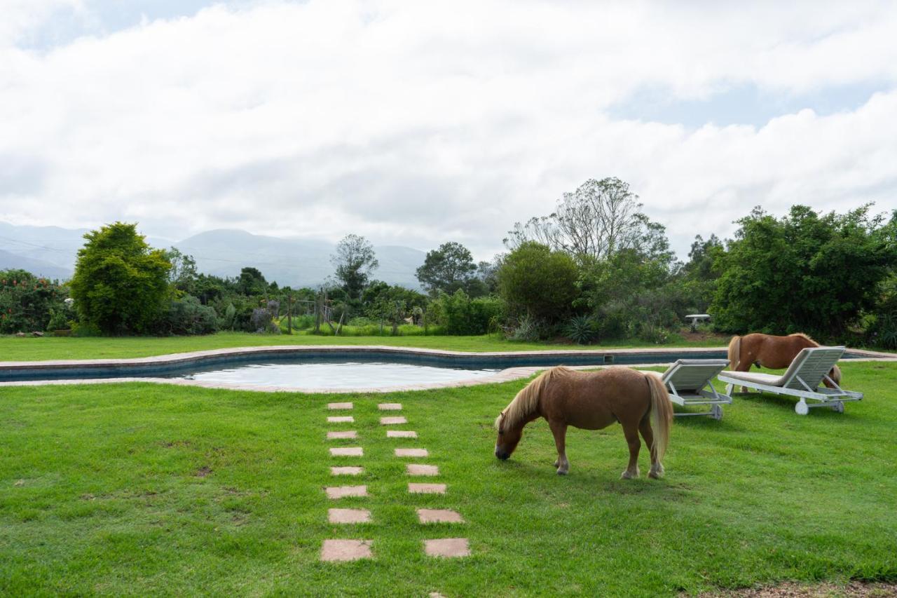 Outeniqua Moon Percheron Stud Farm Ruiterbos Luaran gambar